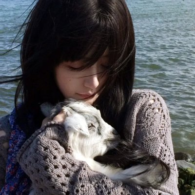 小莫莉大冒险
